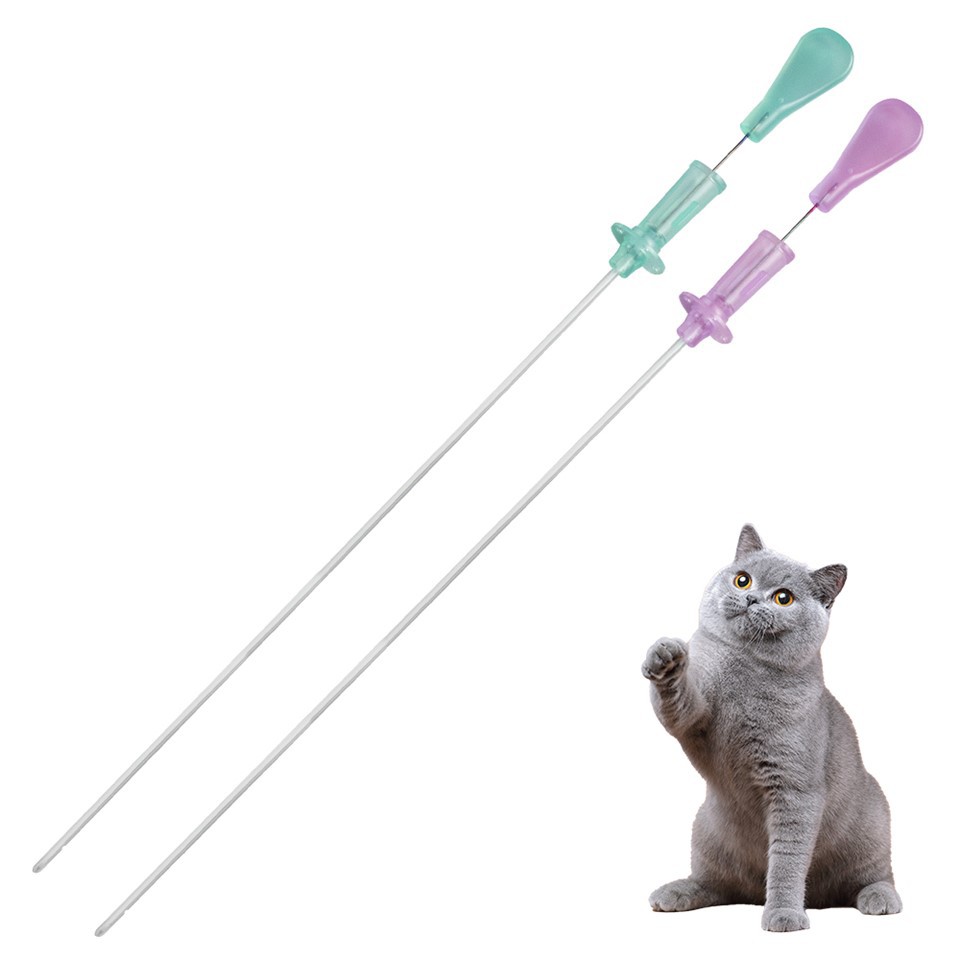 Female Cat Urinary Catheter